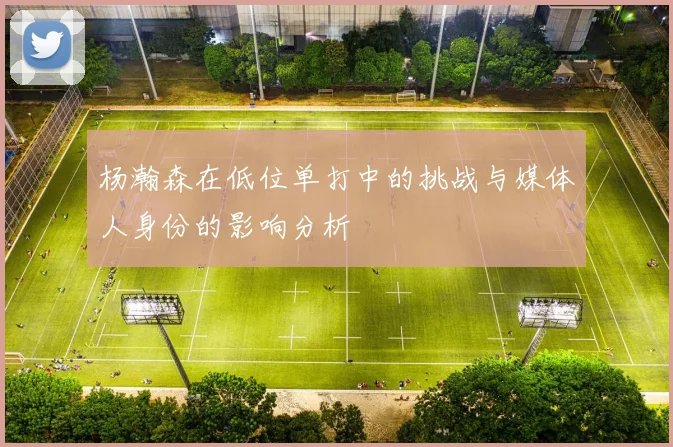 杨瀚森在低位单打中的挑战与媒体人身份的影响分析